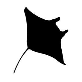 Manta Ray Silhouette Stencil | Silhouette stencil, Shark silhouette ...