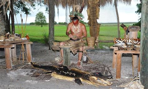 Boggy Creek Airboat Adventures - Boggy Creek Airboat Adventures | Groupon