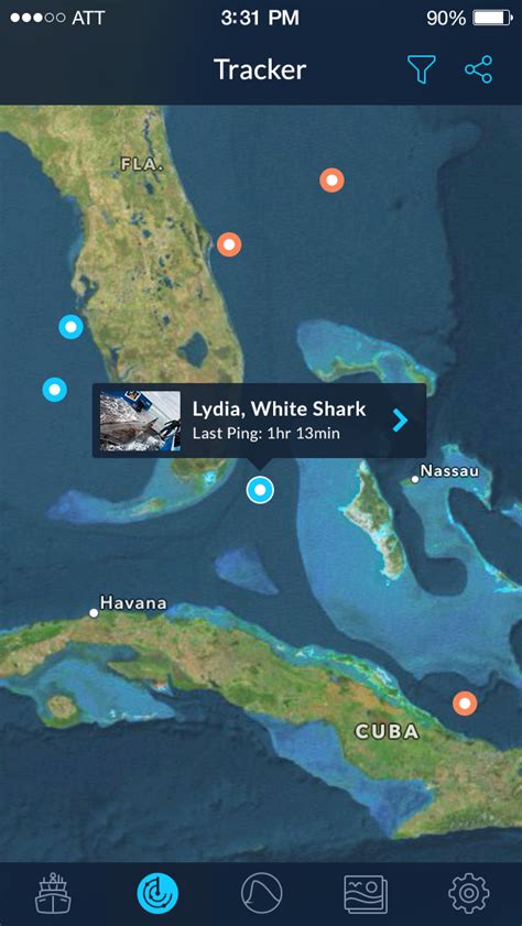 Dribbble - shark-map.png by Nick Botner