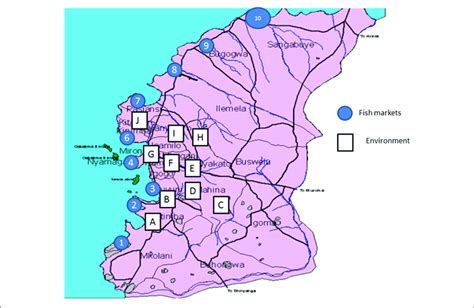 | Map of Mwanza City showing fish markets and sites from which... | Download Scientific Diagram