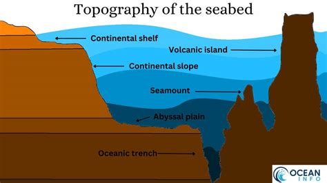 The Seabed: An In-Depth Look At The Ocean Floor - Ocean Info