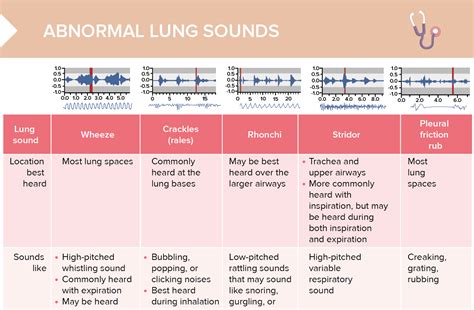 Adventitious Lung Sounds [+ Free Cheat Sheet] | Lecturio Nursing