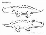 Crocodile  Free Printable Templates & Coloring Pages FirstPalettecom sketch template