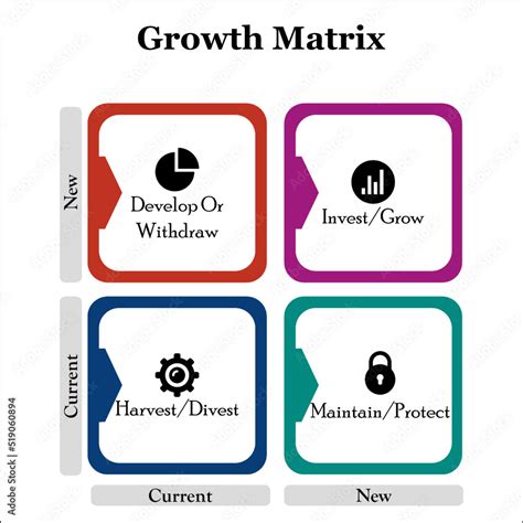 Growth Strategy Matrix with Icons in an Infographic template Stock Vector | Adobe Stock