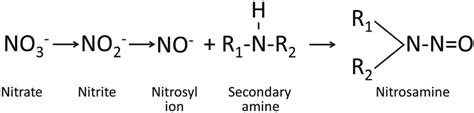 Nitrosamine - La Cosmétothèque