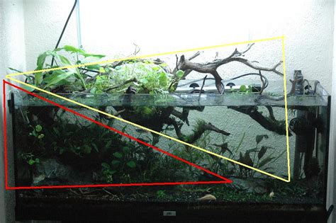 Aquascaping: Completed Beginners Guide