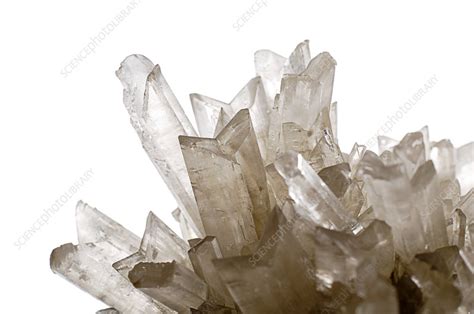 Gypsum crystals - Stock Image - E425/0934 - Science Photo Library