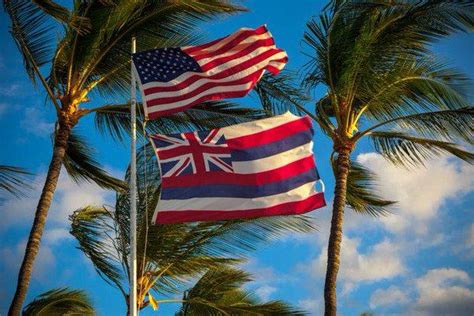 Native Hawaiians may establish their own government | Hawaii flag, Hawaiian flag, Native hawaiian