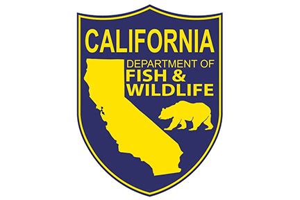 CA Department of Fish and Wildlife Could Suspend Sport or Recreational Fishing Due to Covid-19 ...