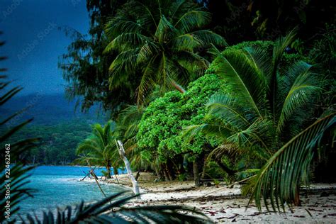 View of a jungle beach on Pele Island, a tiny tropical island with deserted beaches off the ...