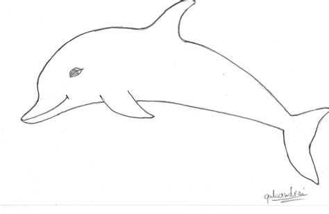 Free Line Drawing Of Dolphin, Download Free Line Drawing Of Dolphin png ...