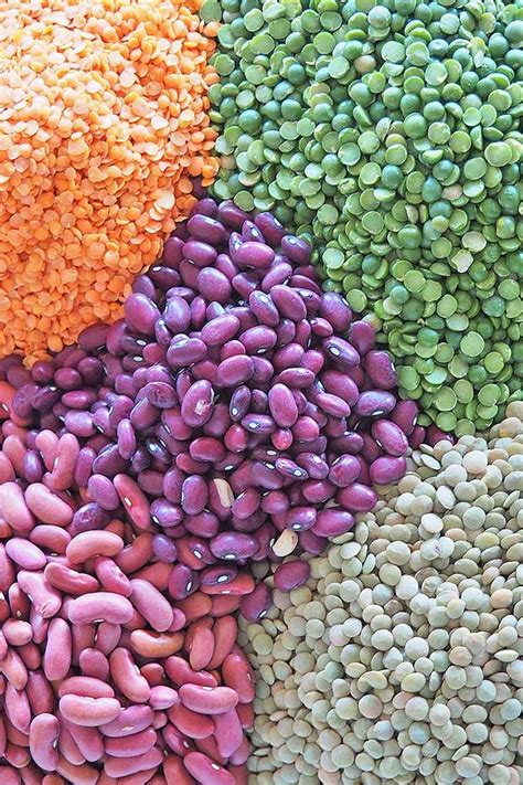 The Power Of Pulses, Beans, and Legumes in Your Diet | Foodal | Edible seeds, Legumes, Beans