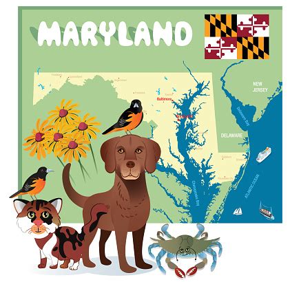 Maryland State Symbols Stock Illustration - Download Image Now - iStock