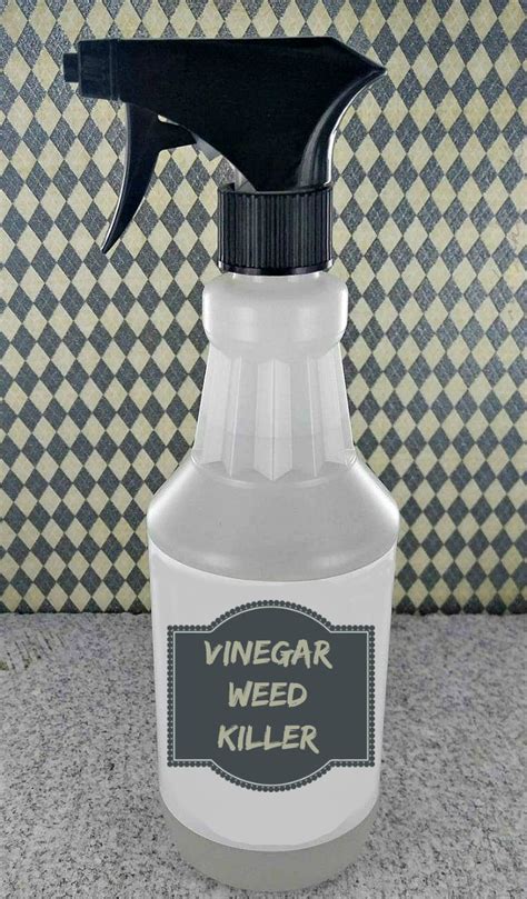 Vinegar Weed Killer - Killing Weeds The Organic Way