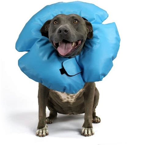 VetOne Eliz Air-Tight Inflatable Collar | On Sale | EntirelyPets Rx