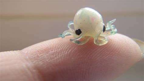 List Of Tiny Smallest Animal In The Ocean References