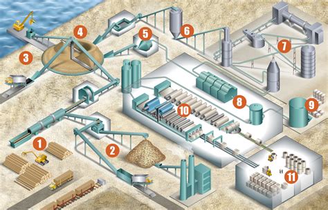 Mapa de proceso de la pasta y papel/productos de madera