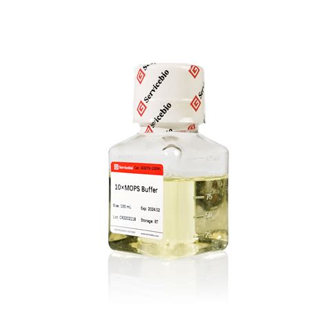 Servicebio 100ml Rna Electrophoresis Mops Buffer Solution - China Mops ...