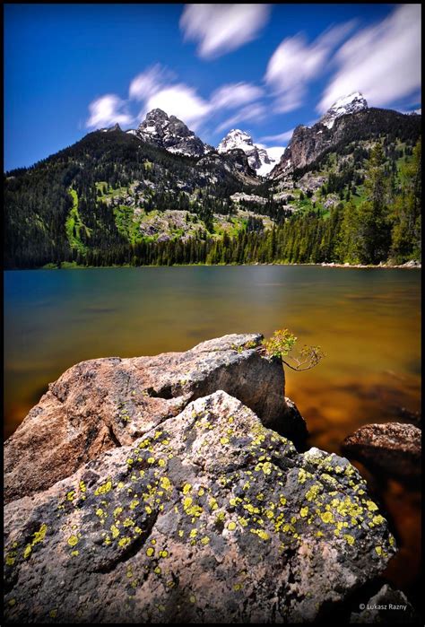 Grand Tetons and Bradley Lake | Grand tetons, Tetons, Grand teton national park