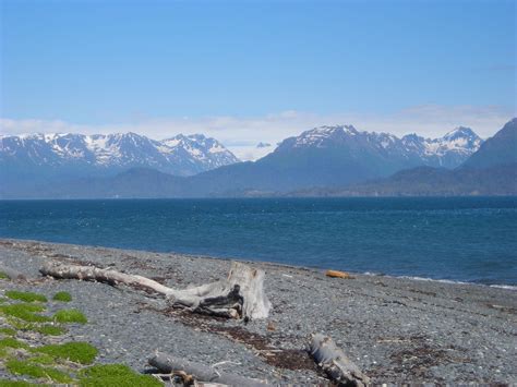 Homer, Alaska best place to go camping :) | Alaska travel, Camping places, Places to go