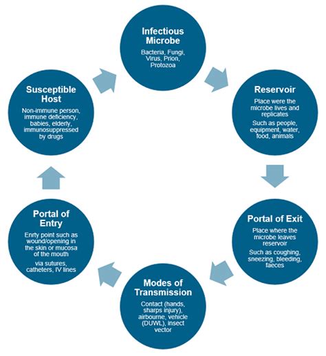 Infection Prevention & Control - Chain of infection | LearnPac Systems