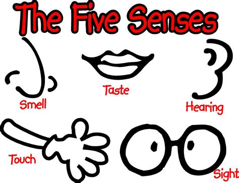 Exploring the World through 5 Senses - Learn and Experience More