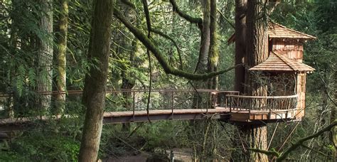 The 16 Unique Treehouse Hotel Designs