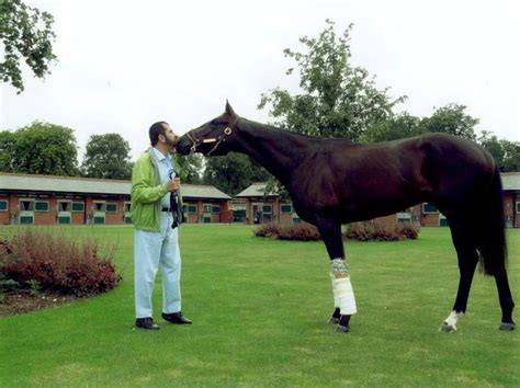 Sheikh Mohammed | Horses, Sheikh mohammed, Racing