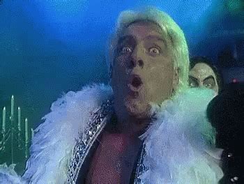 Ric Flair Woo GIFs | Tenor