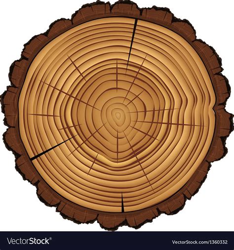 Cross section of tree stump, vector Eps10 illustration. Download a Free Preview or High Quality ...