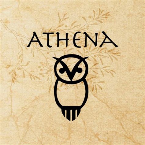 The Olympians And Hades | Athena goddess, Percy jackson tattoo, Athena greek goddess