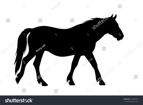 Vector Black Silhouette Walking Horse Isolated: เวกเตอร์สต็อก (ปลอดค่าลิขสิทธิ์) 739284778 ...