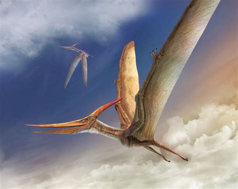 Pteranodon by Vlad Konstantinov | Prehistoric creatures, Dinosaur ...