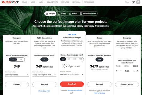 Shutterstock Image Editor Review 2022 – How Does It Work?