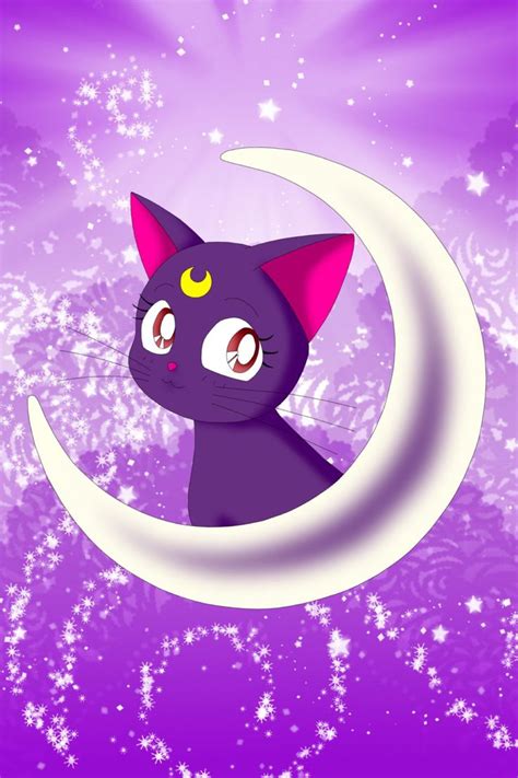 Pin by Ann Hopkins on Sailor Moon | Sailor moon cat, Sailor moon wallpaper, Sailor moon manga