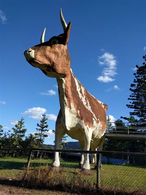 The Big Cow - 9/11 Ayrshire Rd, Kulangoor QLD 4560, Australia