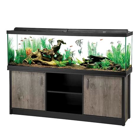 125 Gallon Aquarium: Our Top 3 Choices For The Money