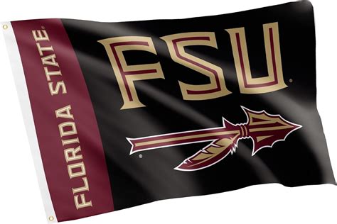 Amazon.com : Desert Cactus Florida State University Flag Seminoles FSU Flag Banners 100% ...