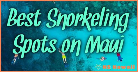 Best Snorkeling Spots On Maui: Top Locations Revealed