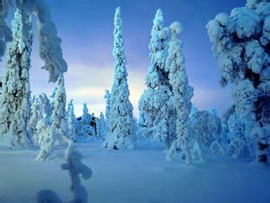 Lapland City Breaks. Ideas on What to Do in Lapland - Attractions ...