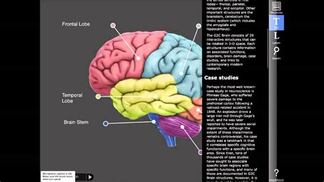 3D Brain App Demonstration - YouTube