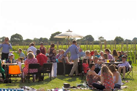 Yorkshire Heart Vineyard, York - Pitchup®