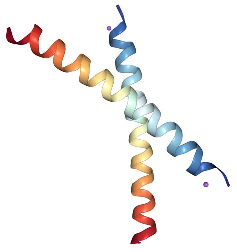 Parathyroid Hormone/PTH Protein Overview | Sino Biological