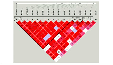 | Linkage disequilibrium plot of ADRB2 SNPs. Haplotype block... | Download Scientific Diagram