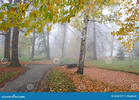 Small Bridge Over Dry Creek in Misty Park Stock Image - Image of eerie, fall: 34967077