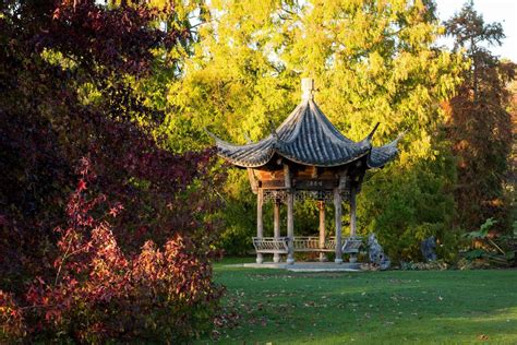 Pagoda ideas: 12 stunning structures for Japanese-inspired plots | Gardeningetc