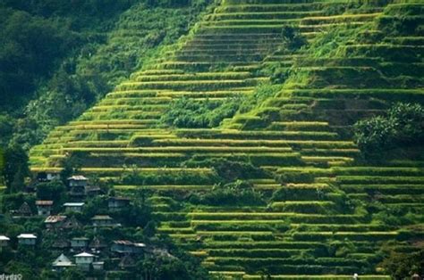 Rice Terraces, Baguio | Philippines travel, Philippines destinations ...