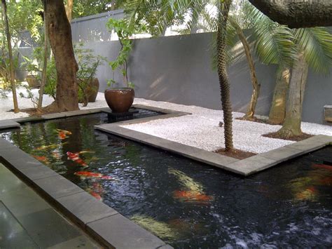 Timeline Photos - Golden Koi Centre | Facebook | Koi pond design, Ponds backyard, Indoor pond