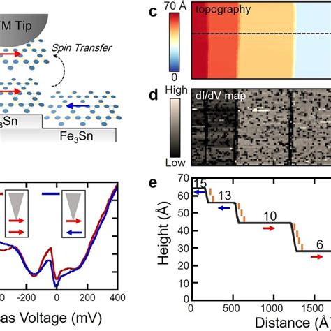 Scanning tunneling microscopy (STM) measurements on FeSn a Optical ...