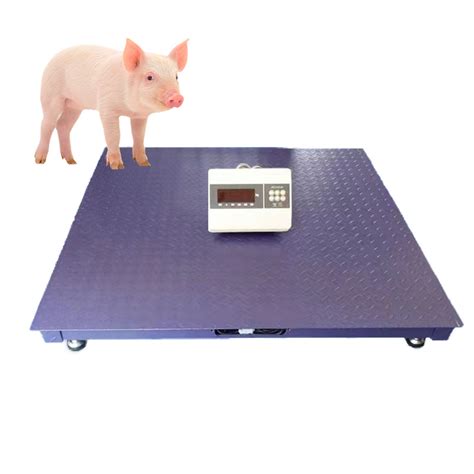 Veterinary Portable Dog Puppy Weight Scale Vet Digital Pet Animal Dog Weighing Scale - China Pet ...